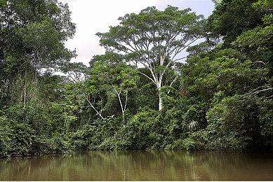 Tengo Project 暗示《赤影战士》重制版将公布